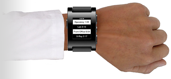 Pebble smartwatch works with DoctorMeow