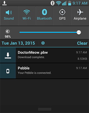 DoctorMeow download complete