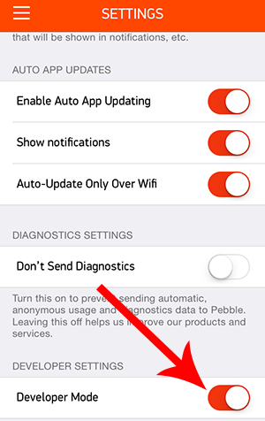 iPhone Pebble developer mode