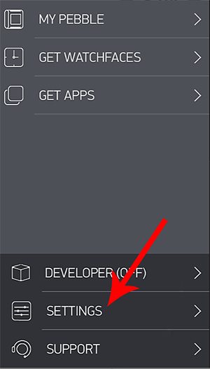 iPhone Pebble settings